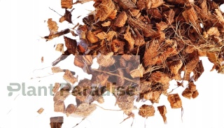 Chipsy zrębki kokosowe 3L - podłoże PREMIUM