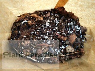 Lekkie podłoże PREMIUM ziemia do roślin doniczkowych monster itp. BIGOS MIX