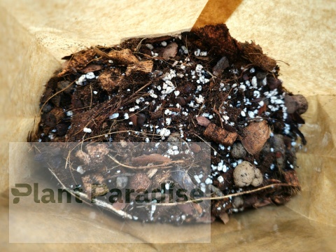 Lekkie podłoże PREMIUM ziemia do roślin doniczkowych monster itp. BIGOS MIX