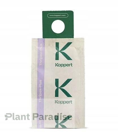 THRIPEX PLUS - Dobroczynek wielożerny